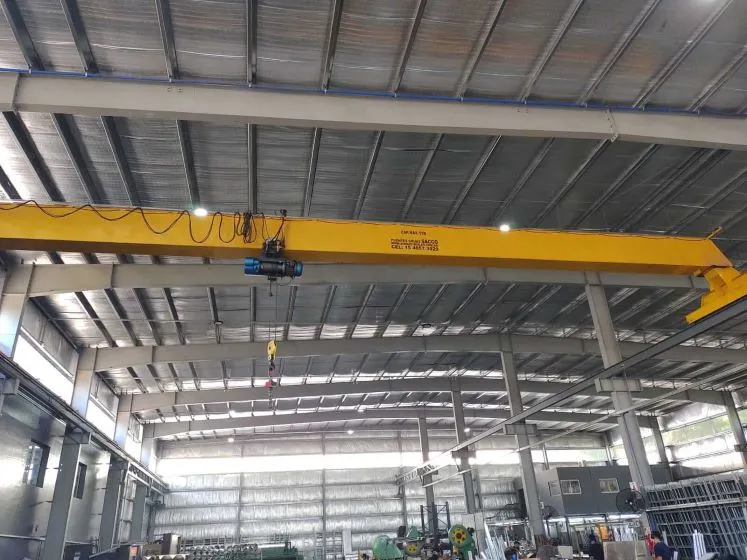 puente grua en funcionamiento